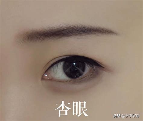 杏眼桃花眼怎麼分|普及知識啦，桃花眼、杏眼、鳳眼、狐狸眼你分得清。